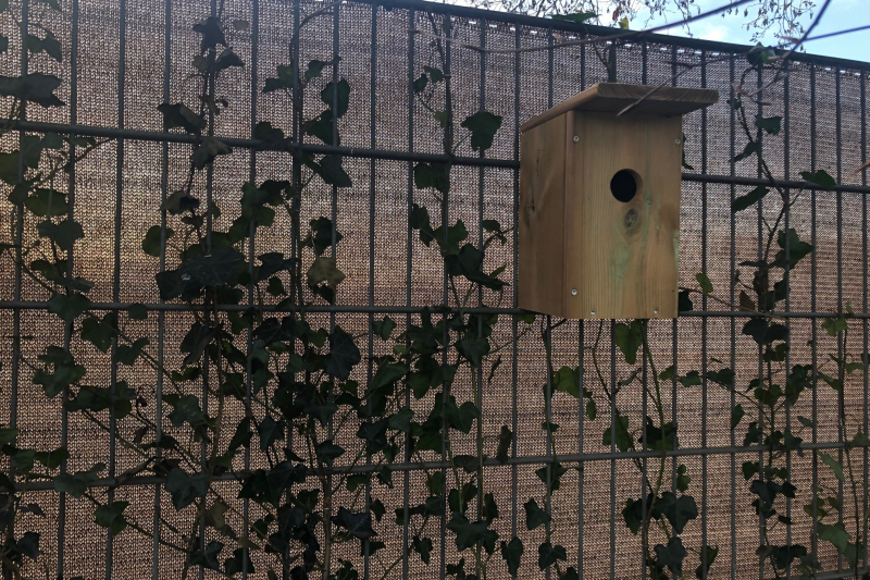 vogelhuisje koolmees vogelkastje koolmees