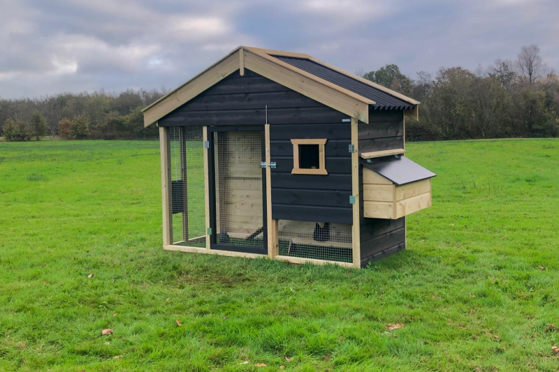 Kippenhok Bolsward Deluxe Groot