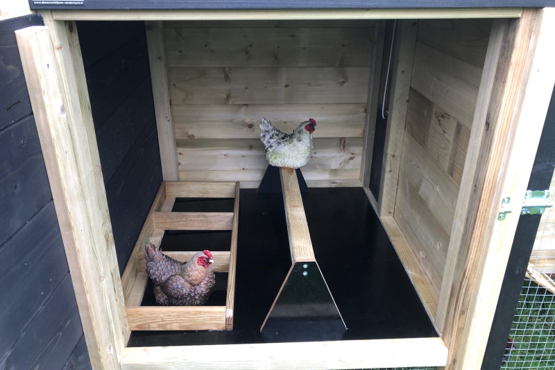 Legnest binnen